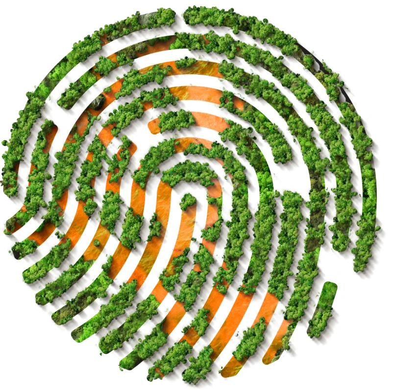 Digital formada por vegetação e elementos naturais